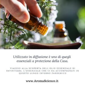 viaggio alla scoperta dell'olio essenziale di ravintsara