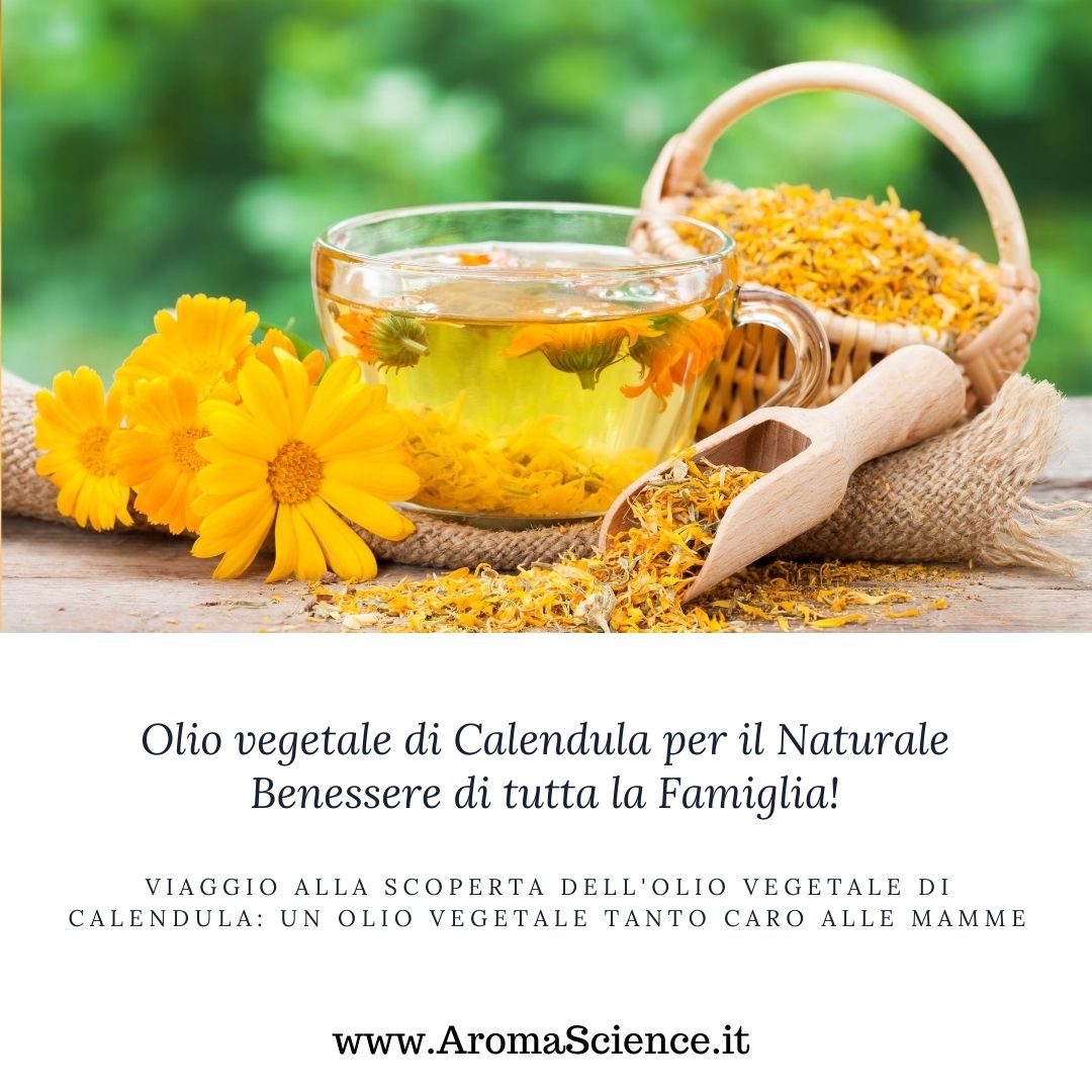 viaggio alla scoperta dell'olio vegetale di calendula