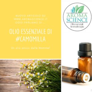 viaggio alla scoperta dell'olio essenziale di camomilla romana