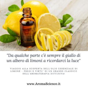 viaggio alla scoperta dell'olio essenziale di limone