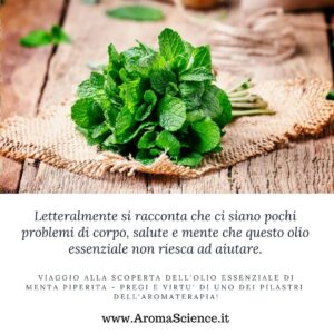 Viaggio alla Scoperta dell'olio Essenziale di Menta Piperita