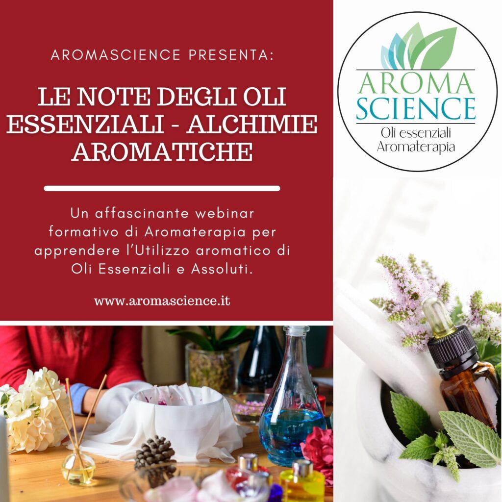 Porta Oli Essenziali Da 10 Bottiglie - Custodia Portatile In EVA Per Aromaterapia - Foto 6