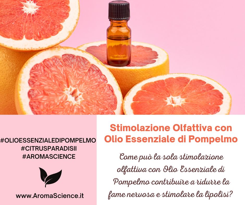 Stimolazione Olfattiva con Olio Essenziale di Pompelmo Riduce la Fame e Stimola la Lipolisi