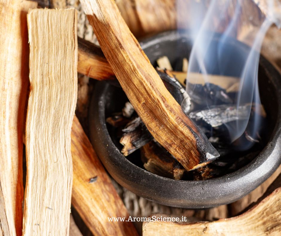 bursera graveolens ovvero l'unico olio essenziale di palo santo