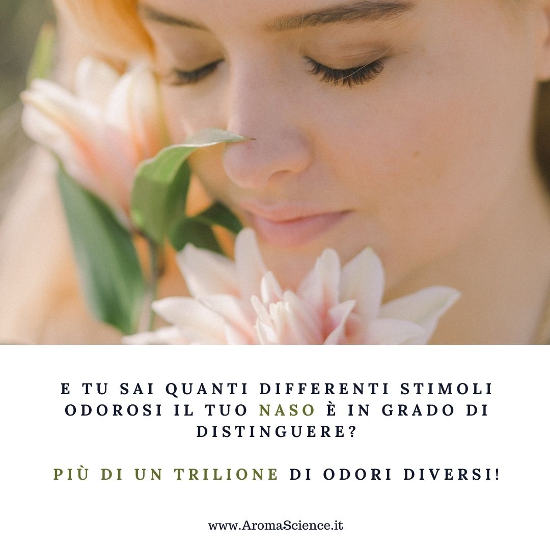 E Tu sai quanti stimoli odorosi diversi può discriminare il Tuo naso?