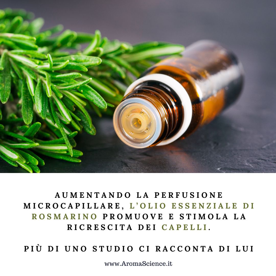 l' olio di rosmarino promuove la crescita di capelli aumentando la perfusione microcapillare