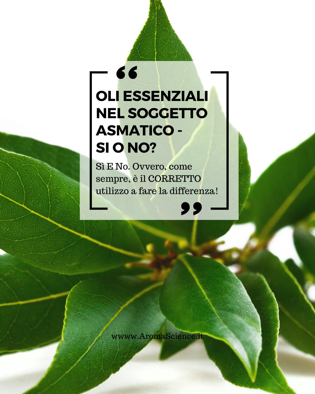 oli essenziali a cineolo nel soggetto asmatico: si o no?