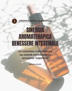 Sinergie aromaterapiche benessere intestinale