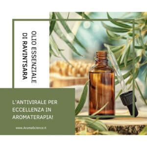 olio essenziale di Ravintsara: l' Antivirale per eccellenza in aromaterapia